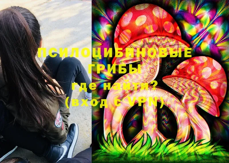 где можно купить   Богданович  кракен   Галлюциногенные грибы Psilocybe 